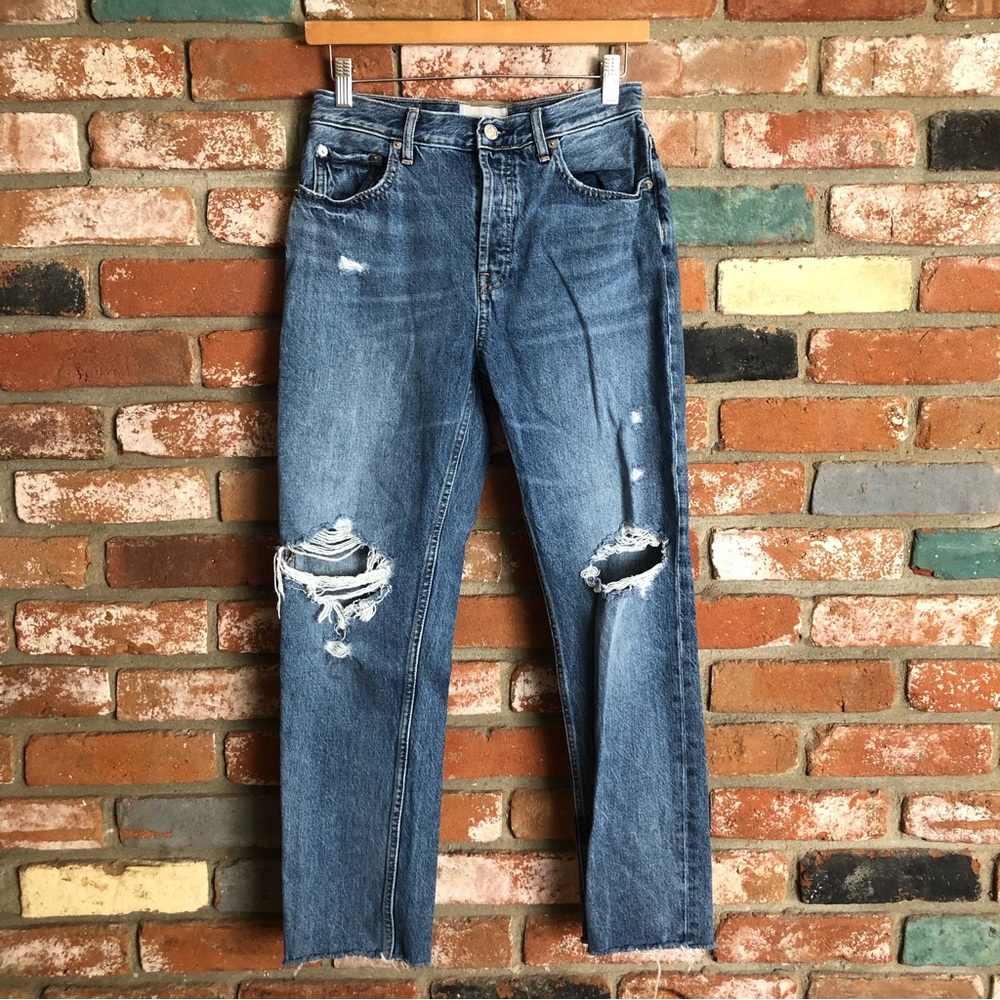 Everlane Distressed Cropped The Cheeky Jean